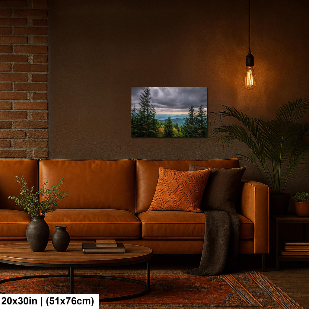 Through the Pines: Great Smoky Mountains National Park TN Photo Wall Art