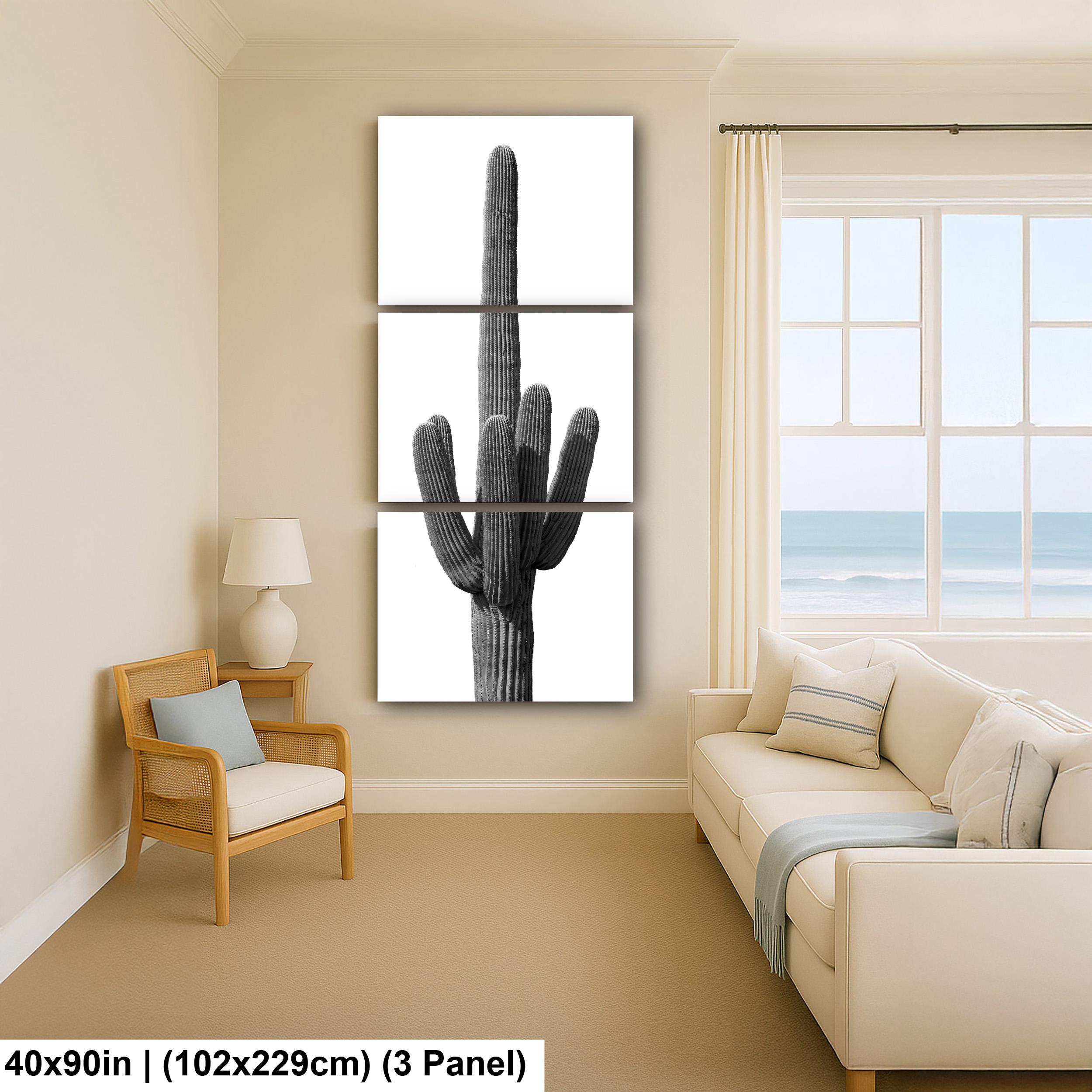 Saguaro Cactus Photography: Black and White Desert Minimalist Wall Art