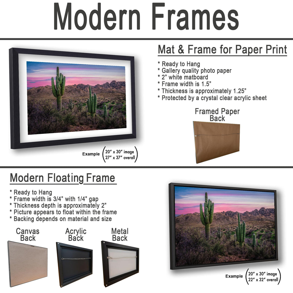 Sonoran Desert Sunset with Saguaros - Catalina State Park Tucson Arizona Photography Print