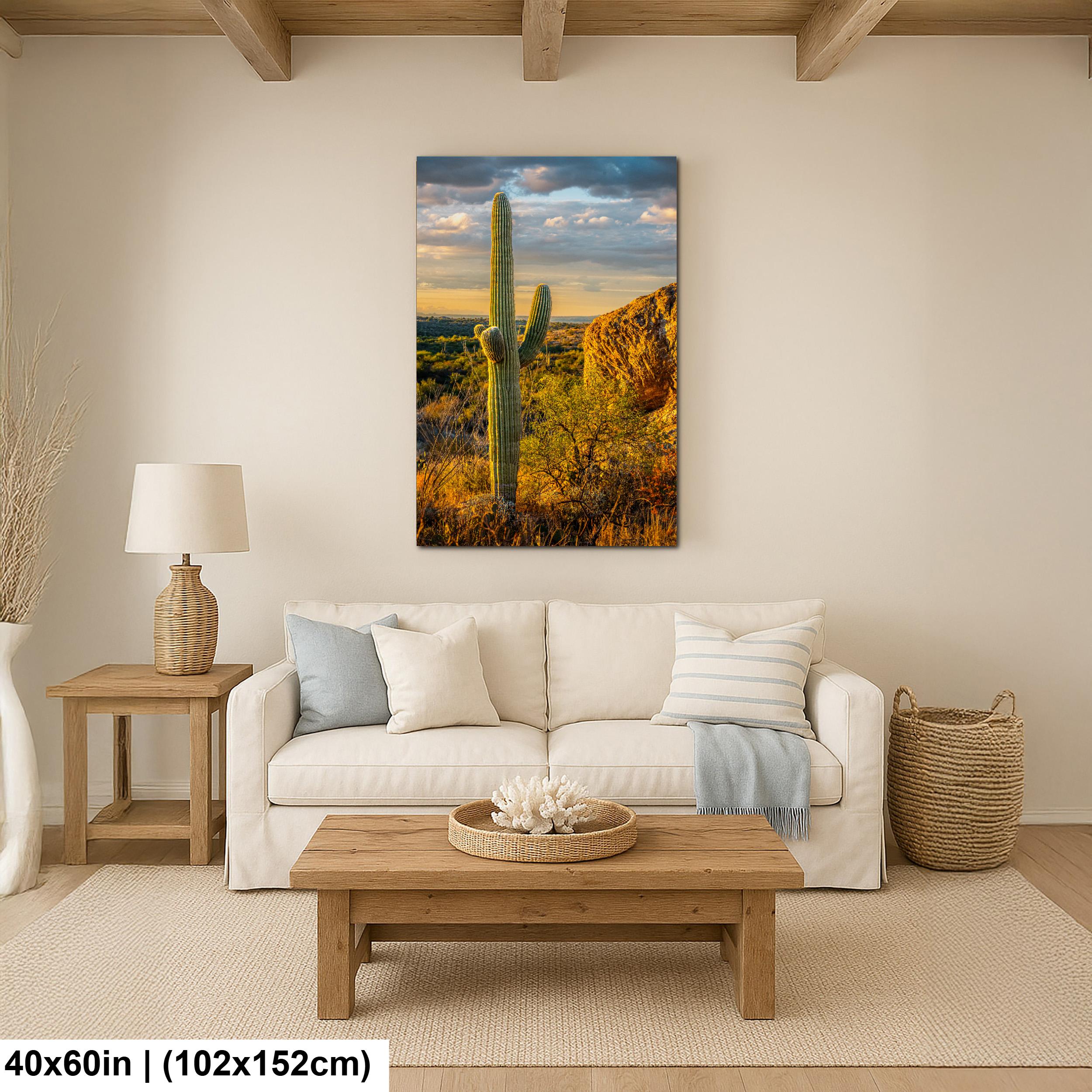 Golden Hour Saguaro Cactus, Sonoran Desert Arizona Sunset Wall Art, Southwestern Landscape Photography Print