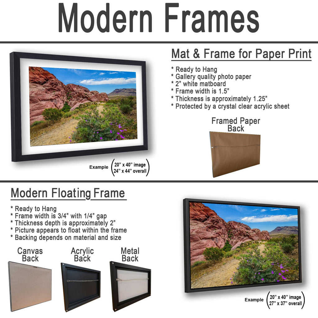 Wildflower Trail: Red Rock Canyon Las Vegas Nevada Photography Wall Art