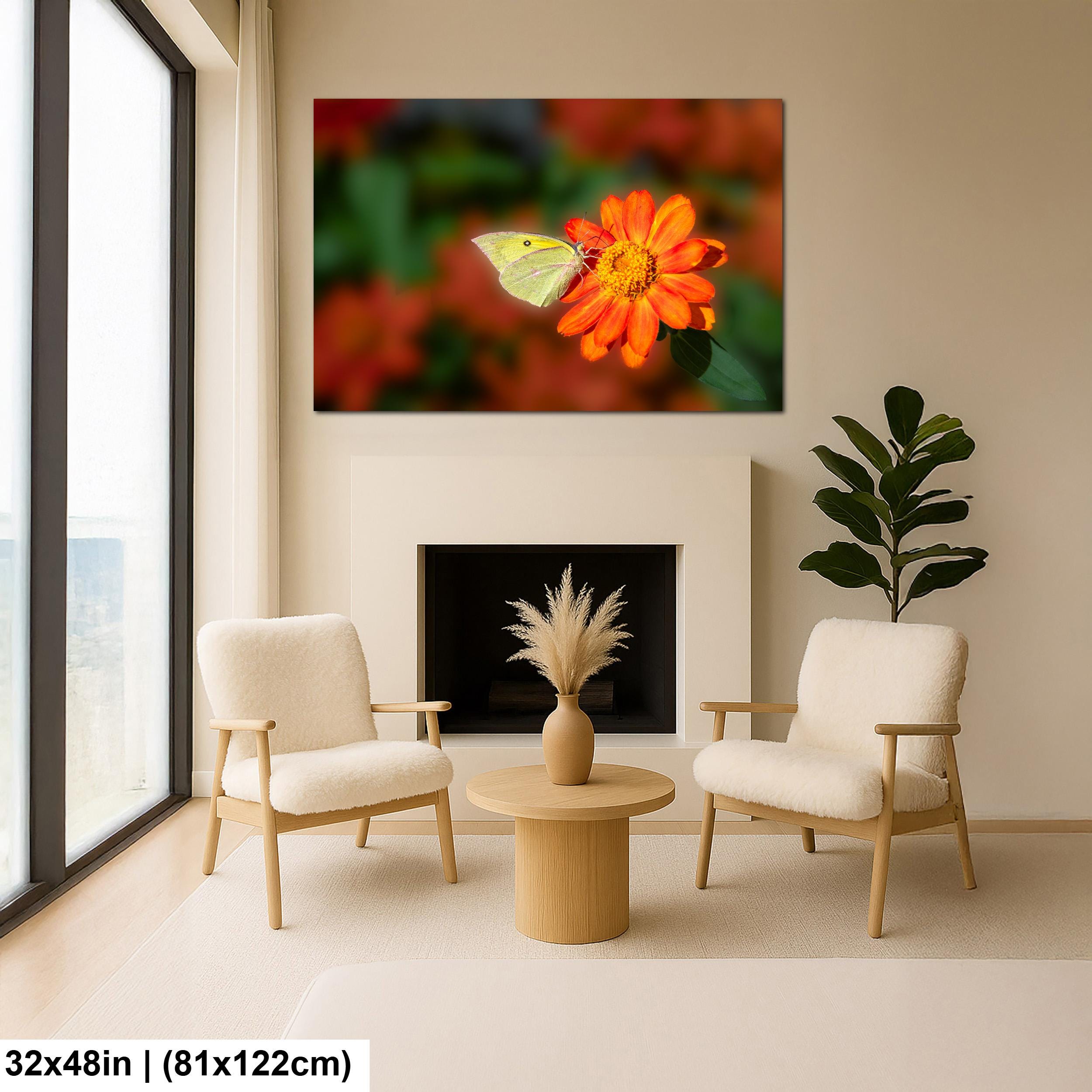Gentle Landing: Butterfly on Flower Mt. Lemmon Arizona Photography Wall Art
