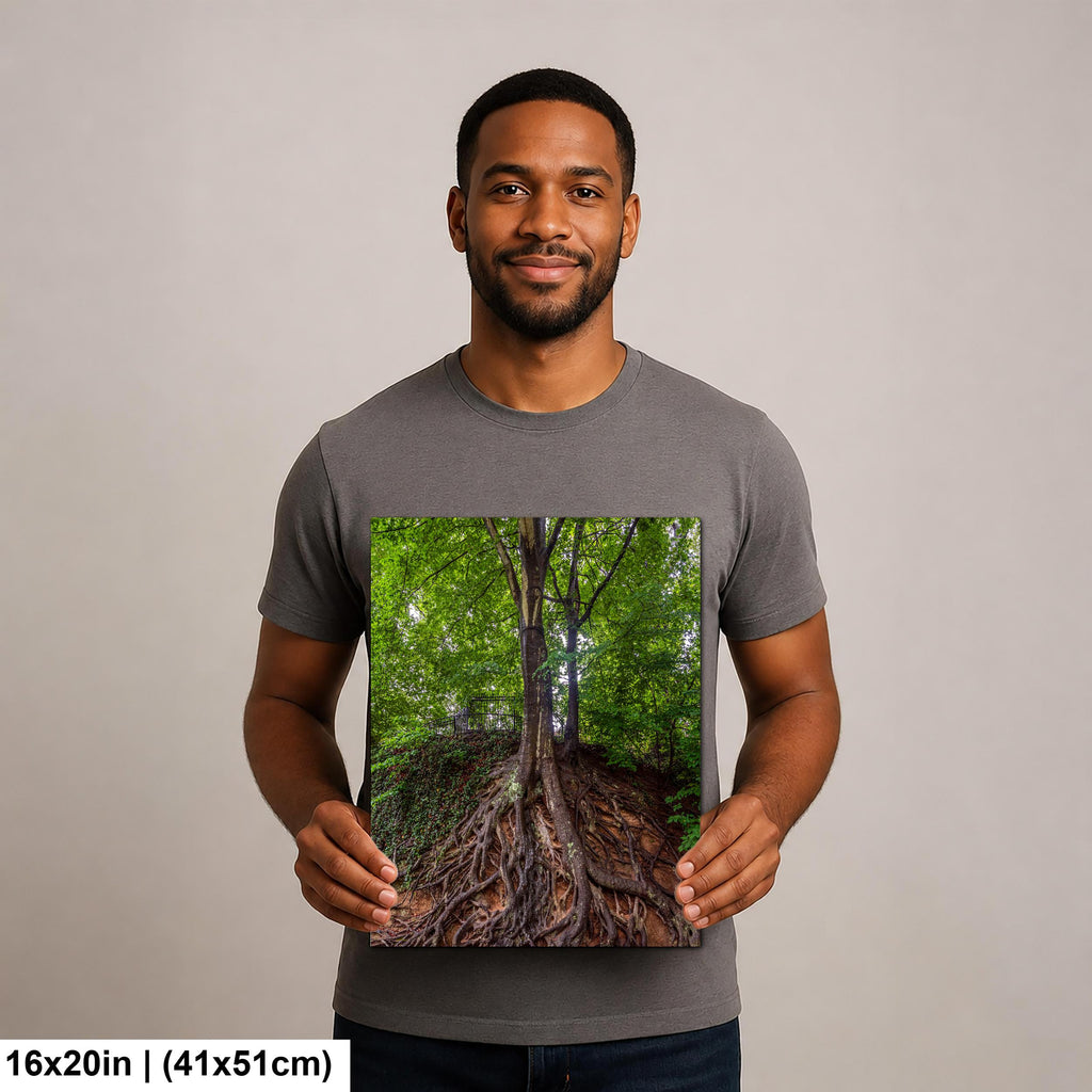 Rooted Giant: Medusa Tree Falls Park Greenville SC Nature Photo Wall Art