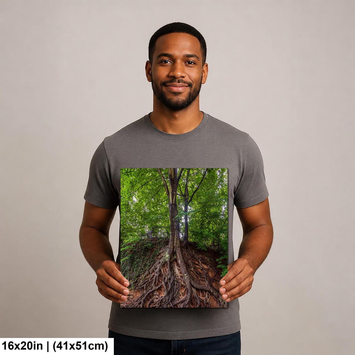 Rooted Giant: Medusa Tree Falls Park Greenville SC Nature Photo Wall Art