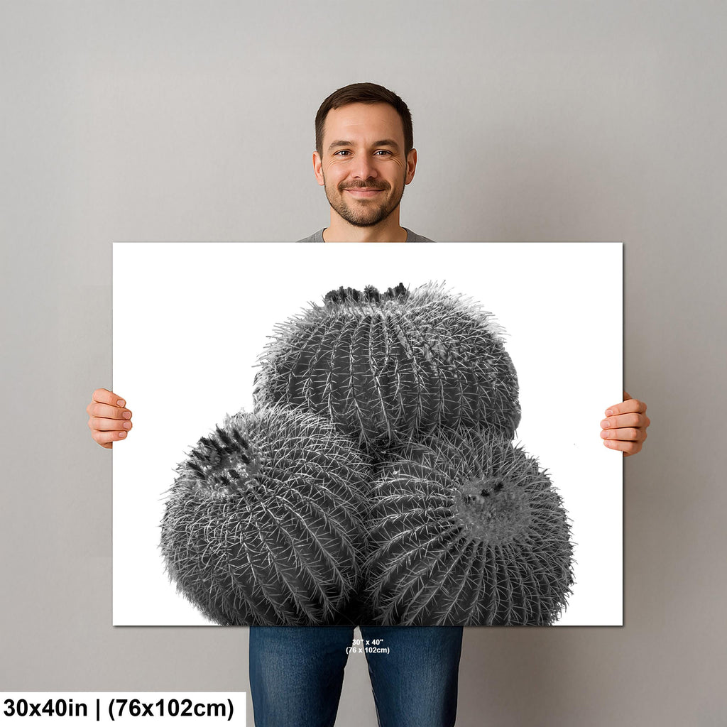 Palm Springs Barrel Cactus Photography Print: Black and White Desert Decor