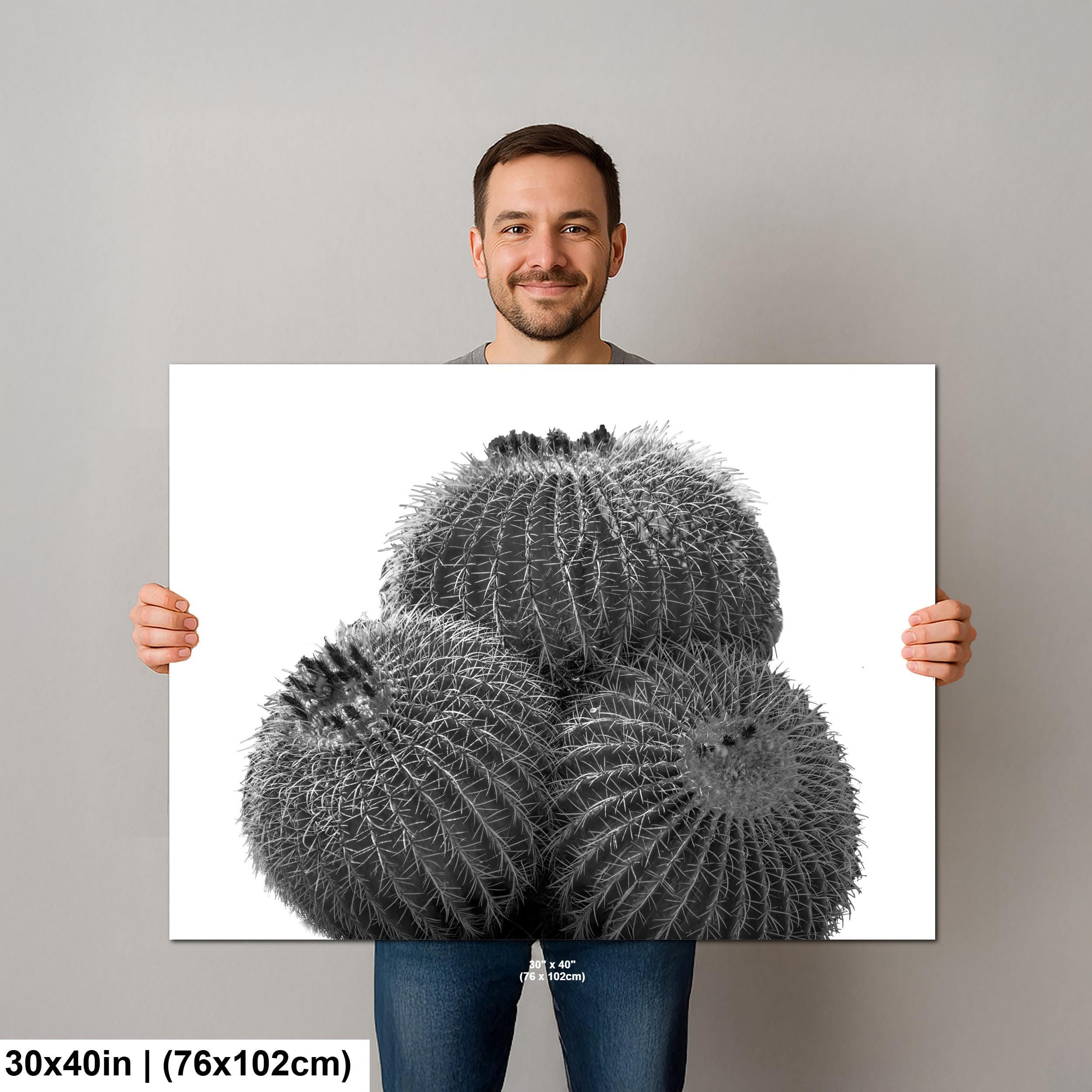Palm Springs Barrel Cactus Photography Print: Black and White Desert Decor