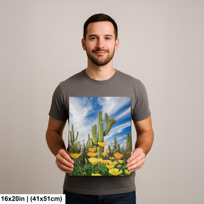 Mexican Gold Poppies Beneath Saguaros - Catalina State Park Tucson Arizona Photography Print