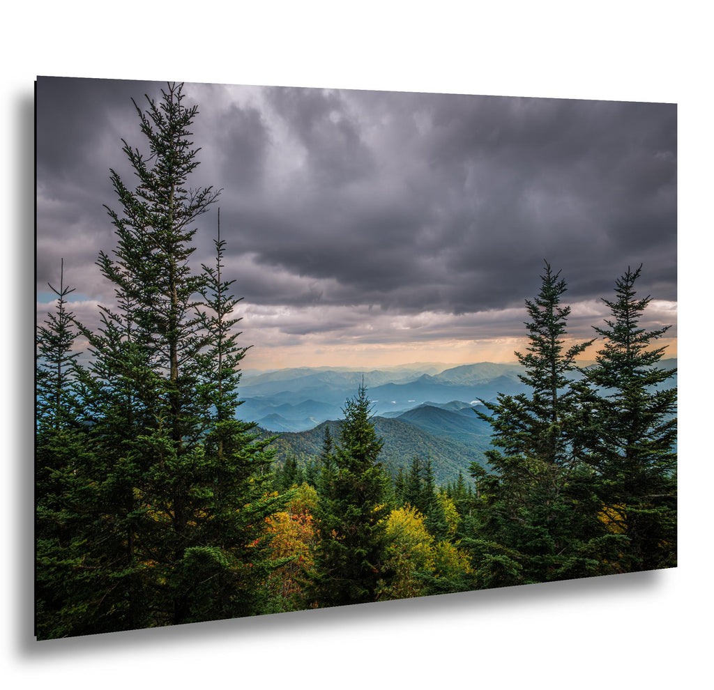 Through the Pines: Great Smoky Mountains National Park TN Photo Wall Art