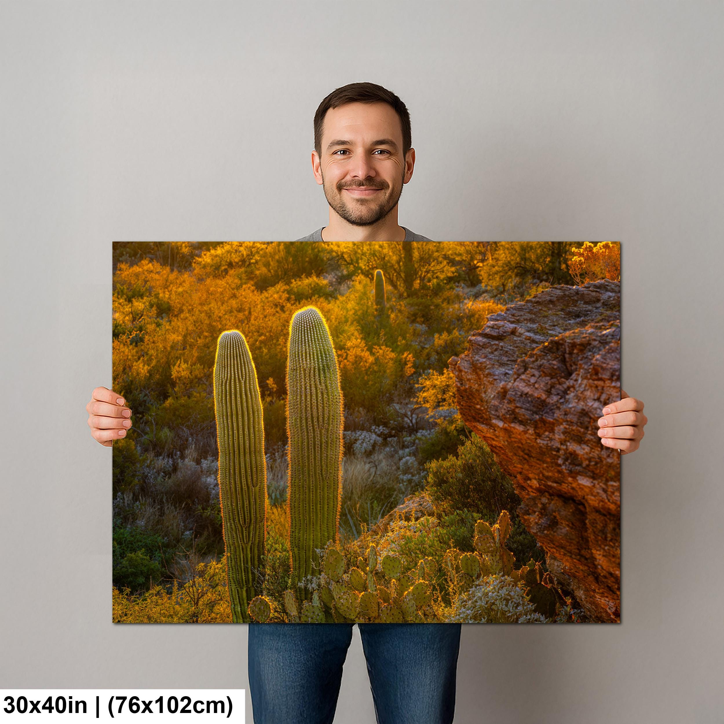 Golden Hour Saguaros Beside Desert Rock Formation Tucson Arizona Photography Print