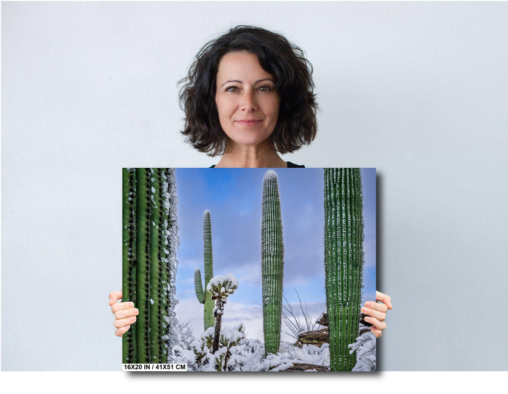Saguaro Cactus Wall Art - Snow-Covered Desert Landscape Print | Southwest Art