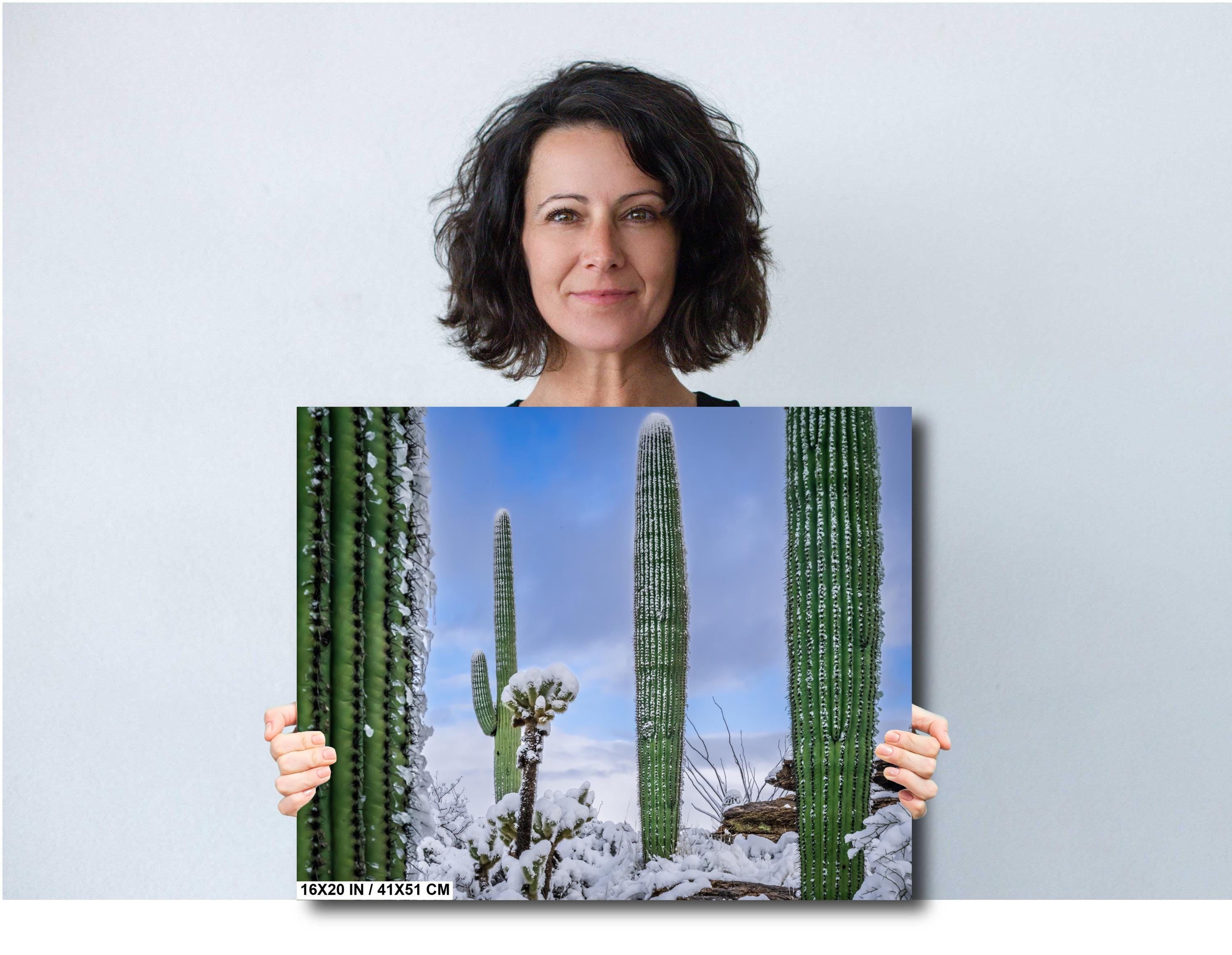 Saguaro Cactus Wall Art - Snow-Covered Desert Landscape Print | Southwest Art