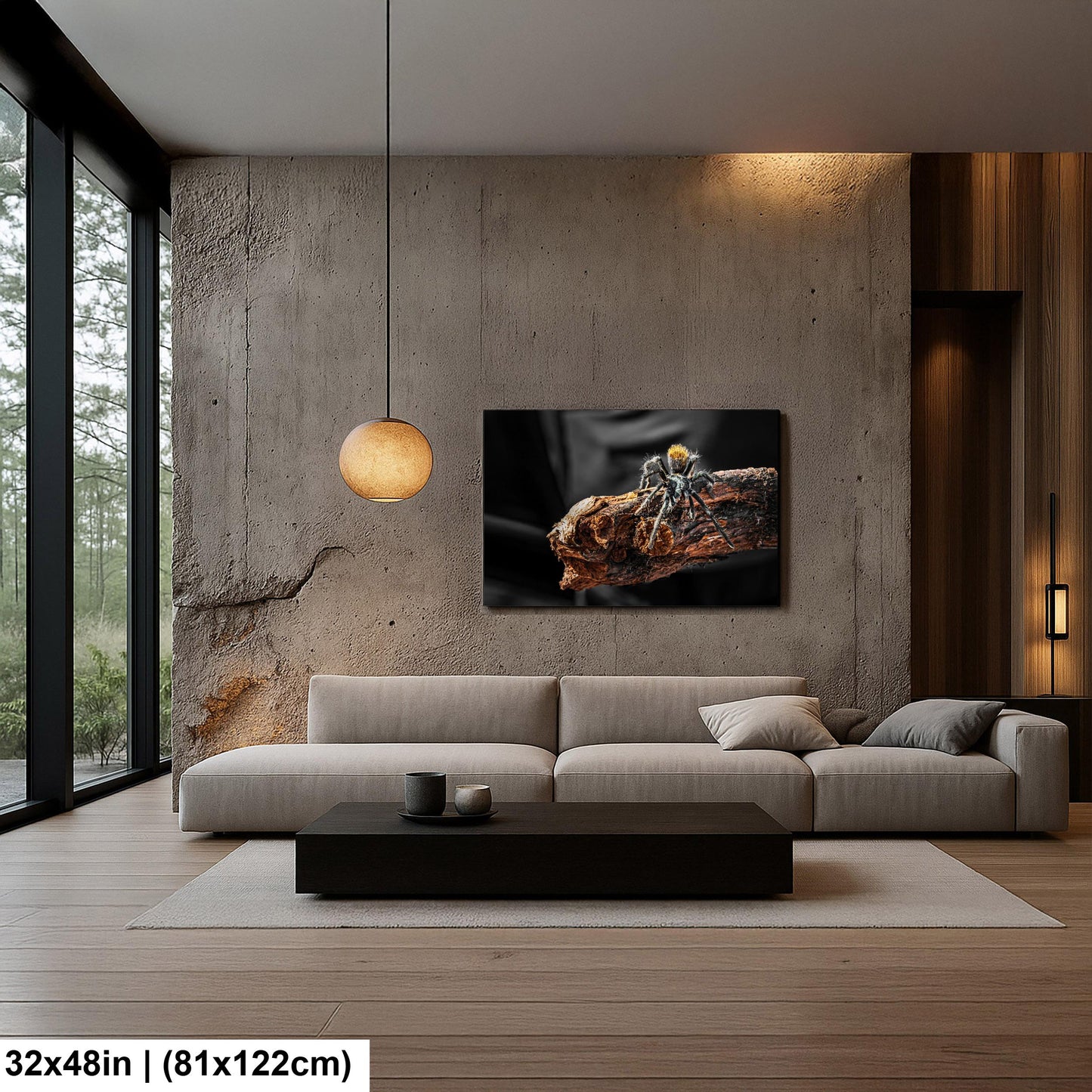 Arizona Blonde Tarantula on Desert Wood Southwest Wildlife Photography Print
