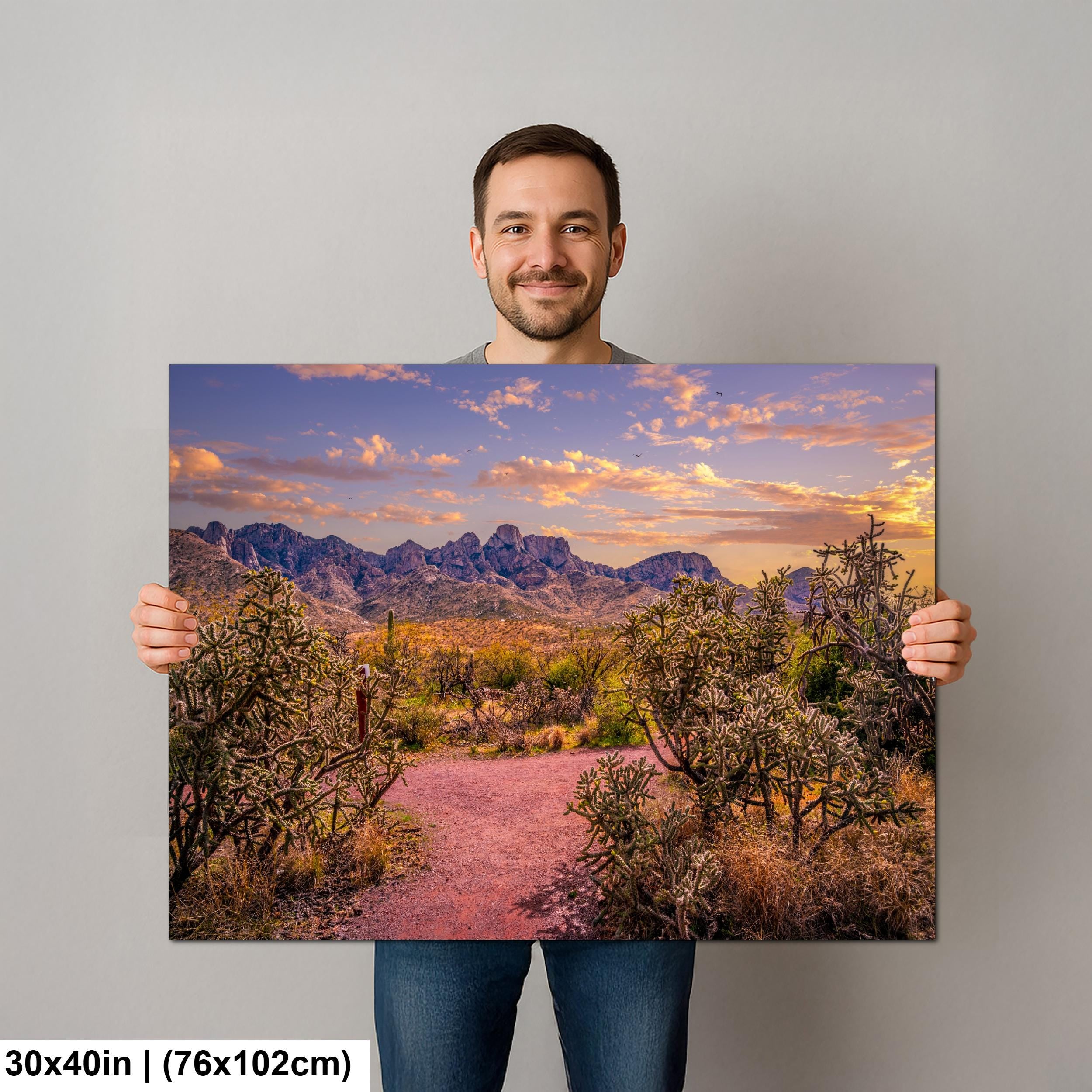 Sonoran Desert Trail Through Cholla Cactus - Tucson Arizona Mountain Sunset Photography Print