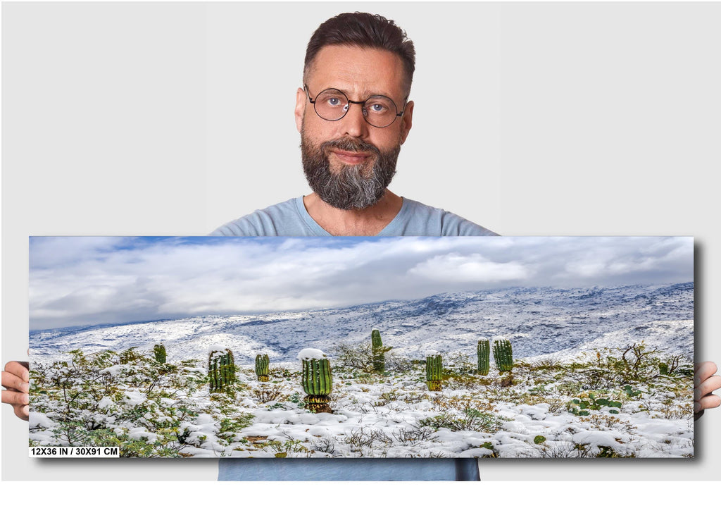 Saguaro National Park Winter Snow Cactus Print: Arizona Desert Wall Art