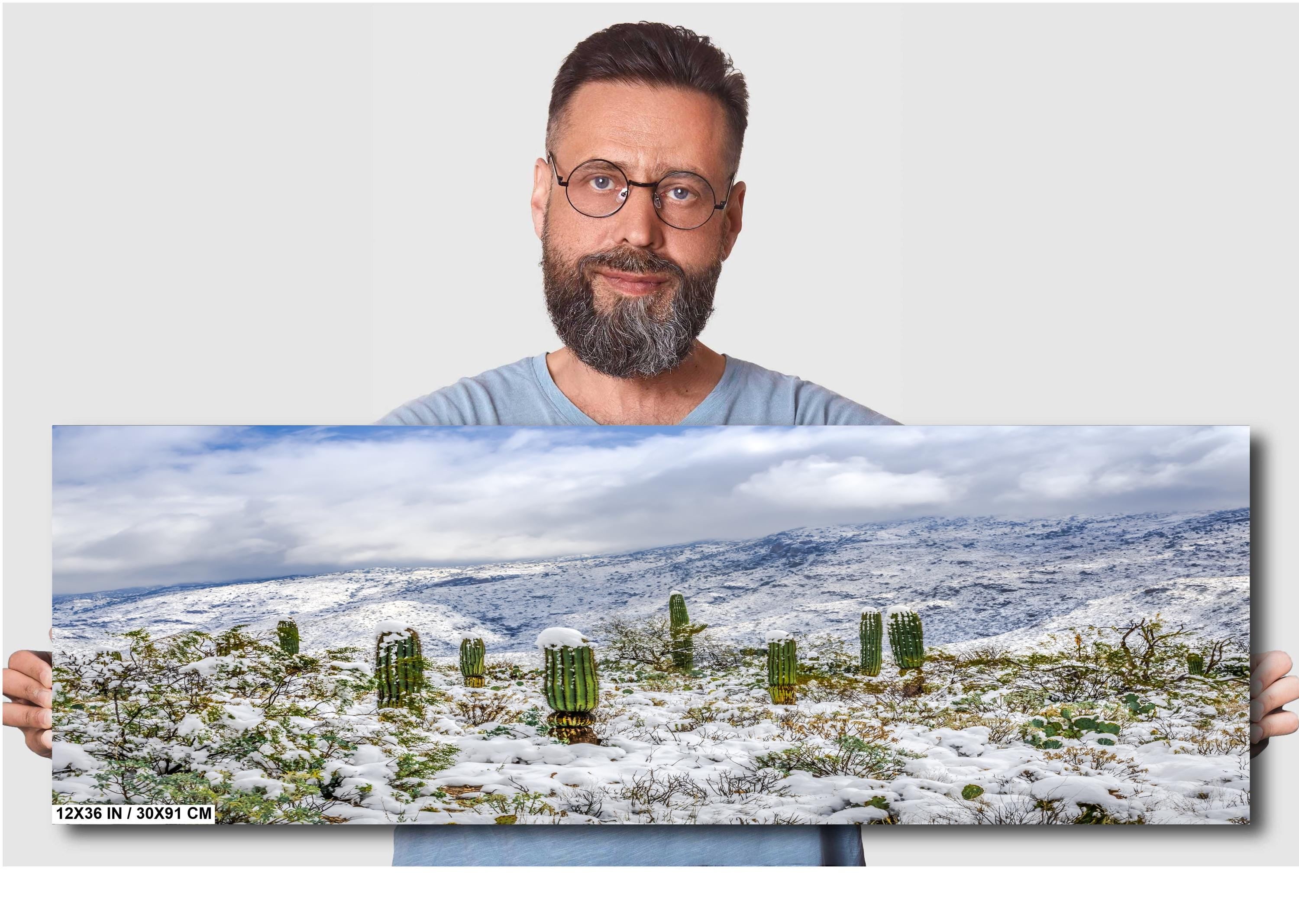 Saguaro National Park Winter Snow Cactus Print: Arizona Desert Wall Art