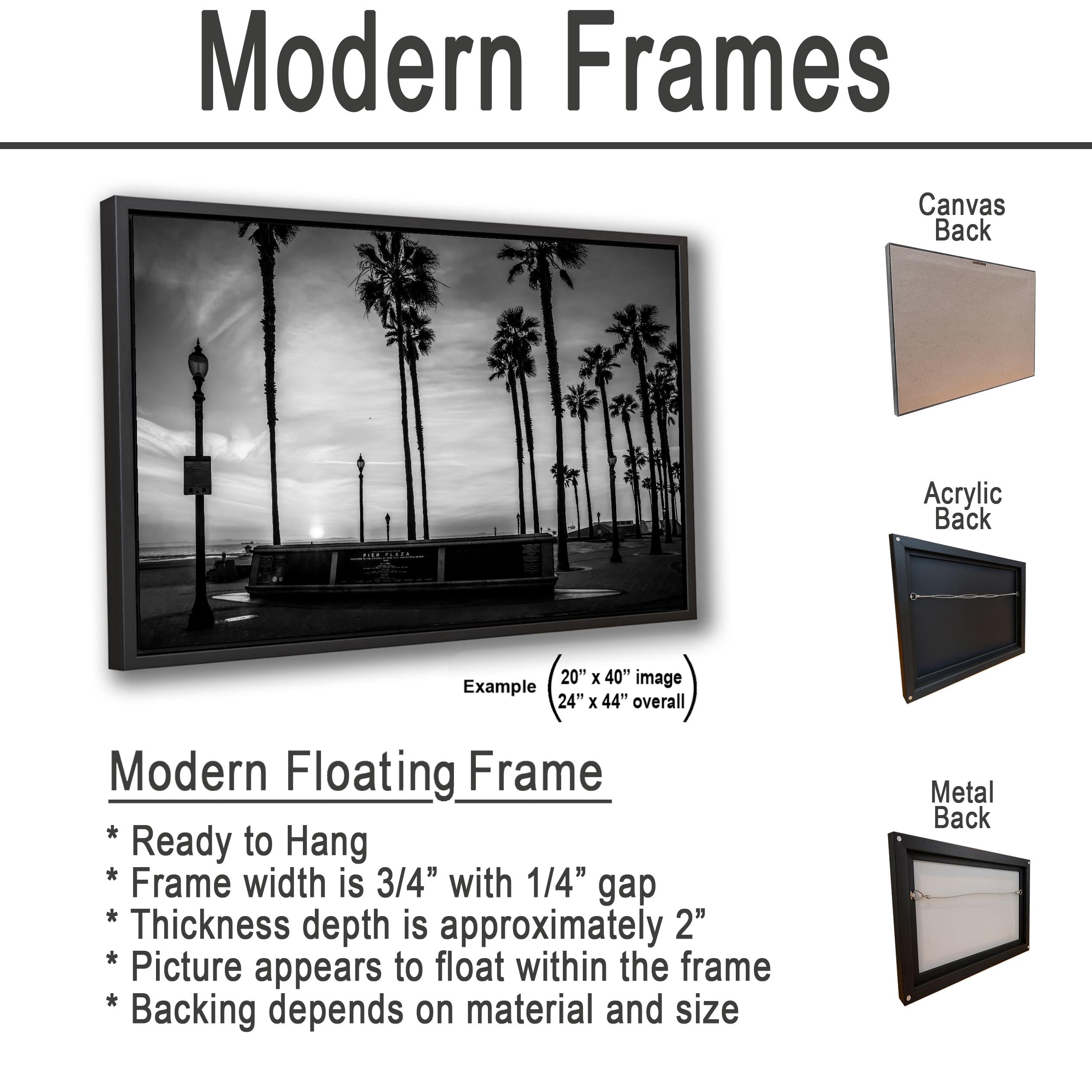 Palm Silhouettes: Pier Plaza Huntington Beach California Photo Wall Art