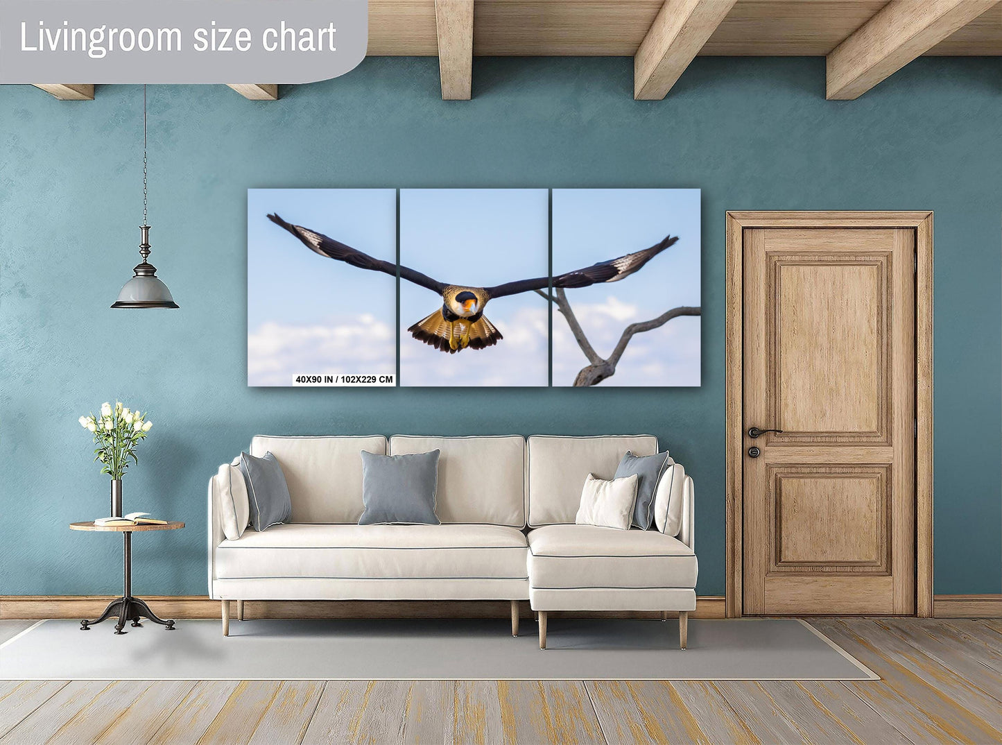 Crested Caracara in Flight: Arizona Desert Wildlife Photography Print