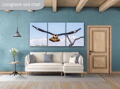 Crested Caracara in Flight: Arizona Desert Wildlife Photography Print