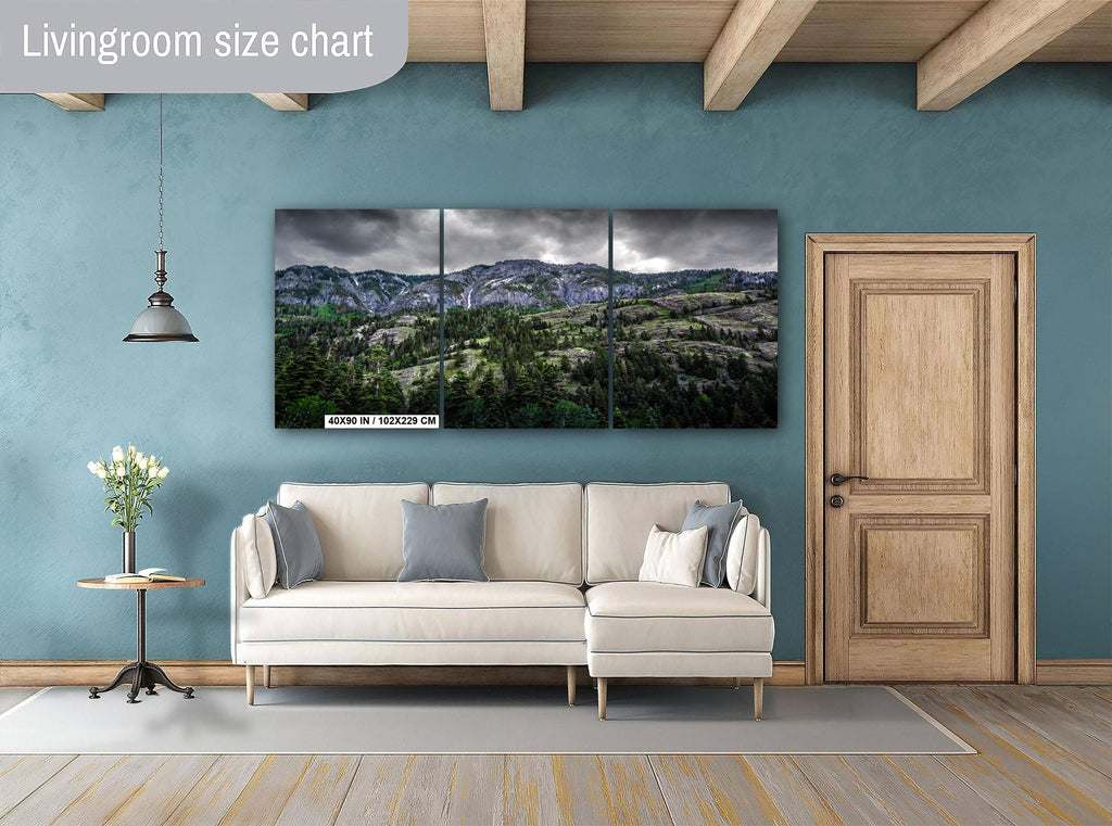 Ouray Colorado Forest Print: San Juan Mountains Landscape Photography