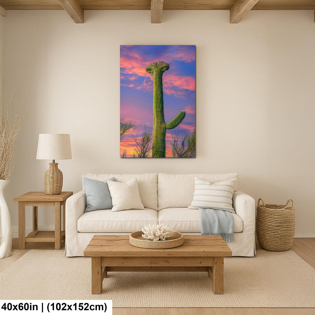 Crested Saguaro Cactus at Sunset - Saguaro National Park East Tucson Photography Print