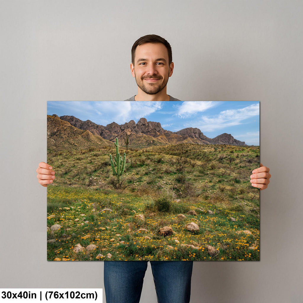 Arizona Desert Spring Wildflowers, Saguaro Mountain Landscape Wall Art, Sonoran Nature Photography Print