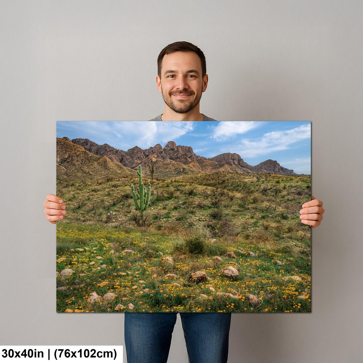 Arizona Desert Spring Wildflowers, Saguaro Mountain Landscape Wall Art, Sonoran Nature Photography Print