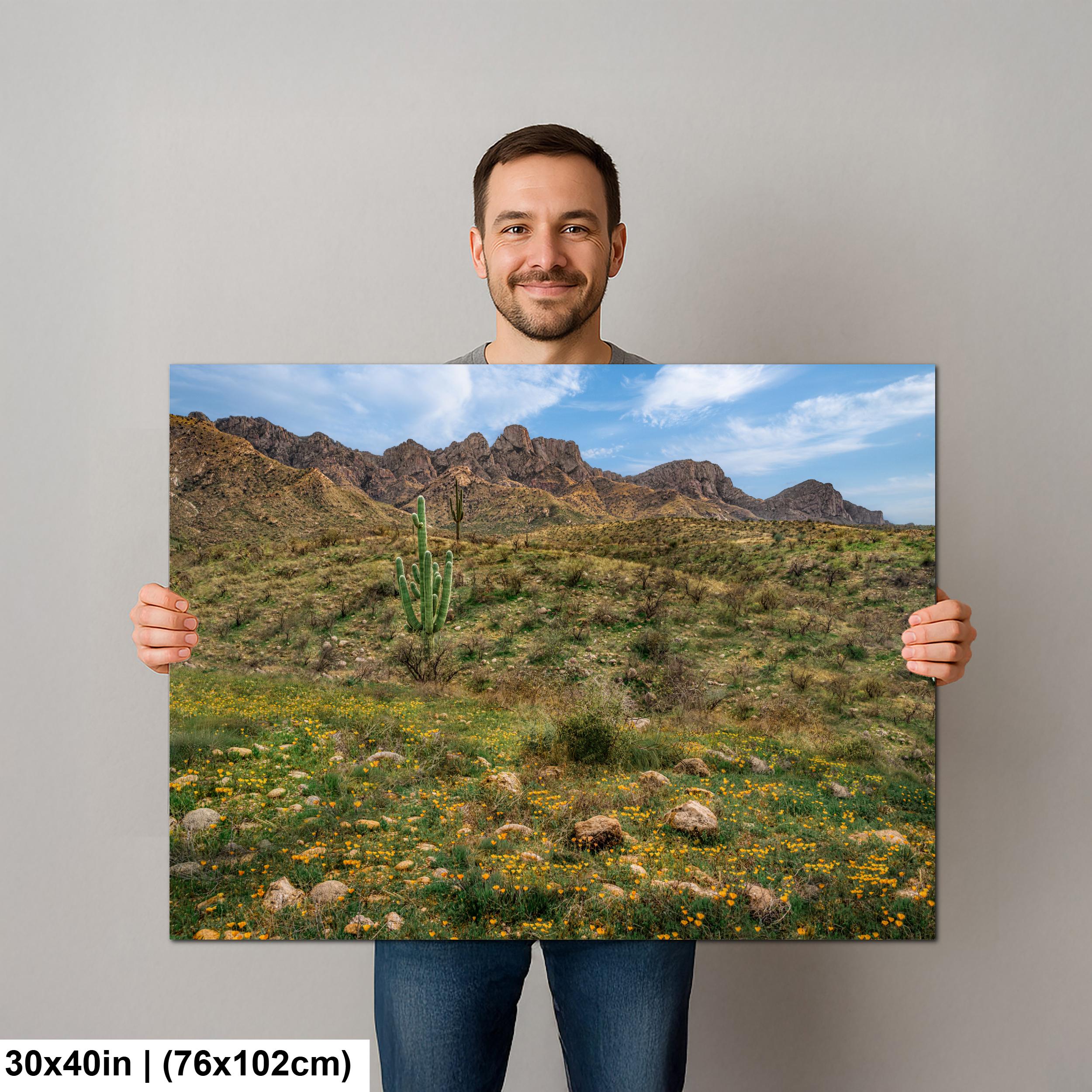 Arizona Desert Spring Wildflowers, Saguaro Mountain Landscape Wall Art, Sonoran Nature Photography Print