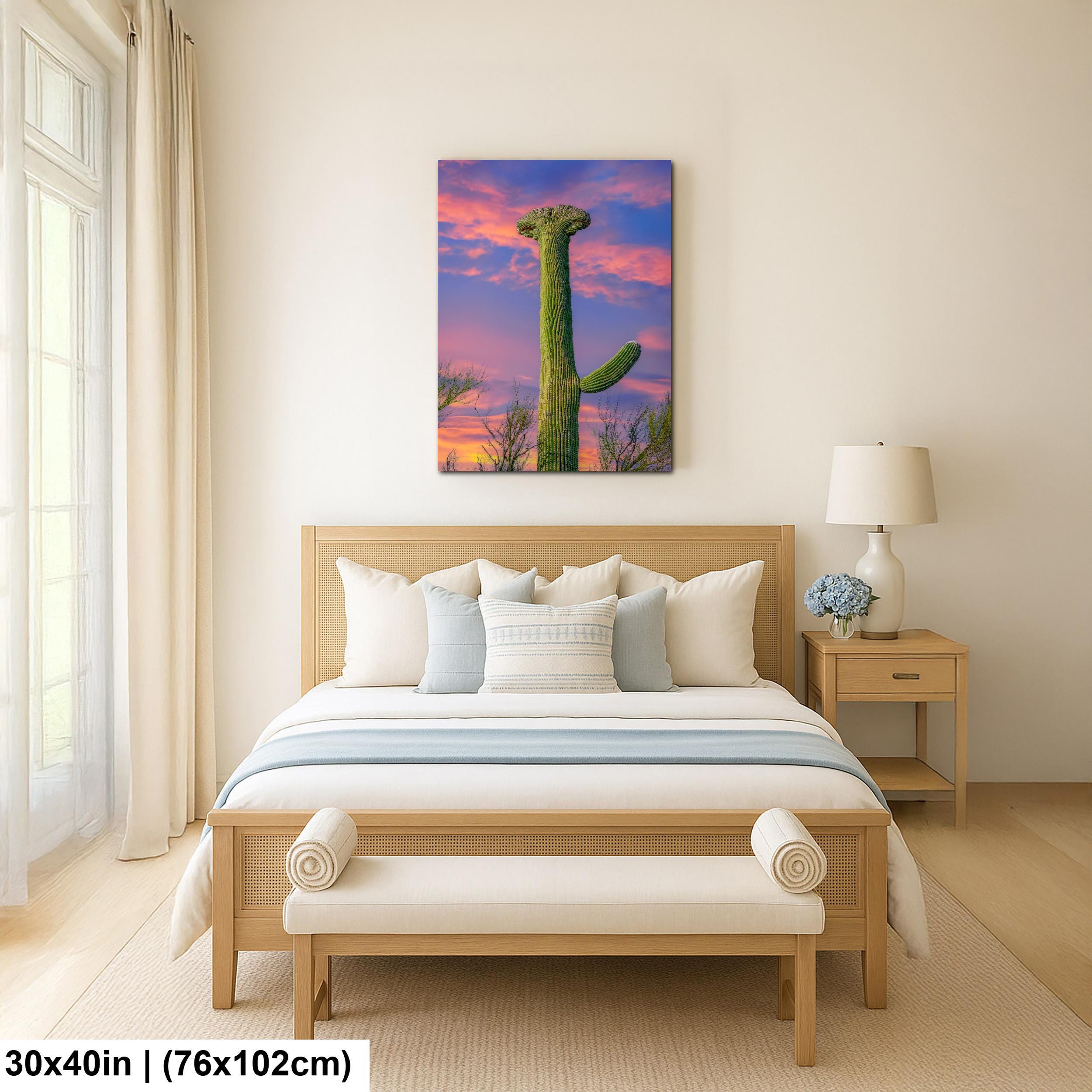 Crested Saguaro Cactus at Sunset - Saguaro National Park East Tucson Photography Print