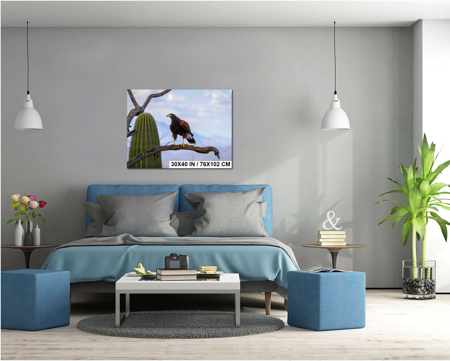 Harris's Hawk Desert Photography Print: Arizona Wildlife Art