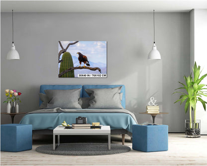 Harris's Hawk Desert Photography Print: Arizona Wildlife Art