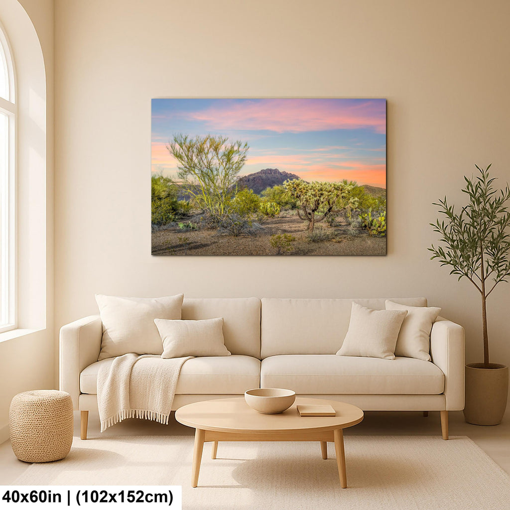 Cholla Cactus Sunset with Mountain View, Tucson Arizona Photography Print