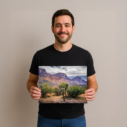 Catalina Mountains Scenic View Arizona Desert Sonoran Landscape Nature Photography Wall Art