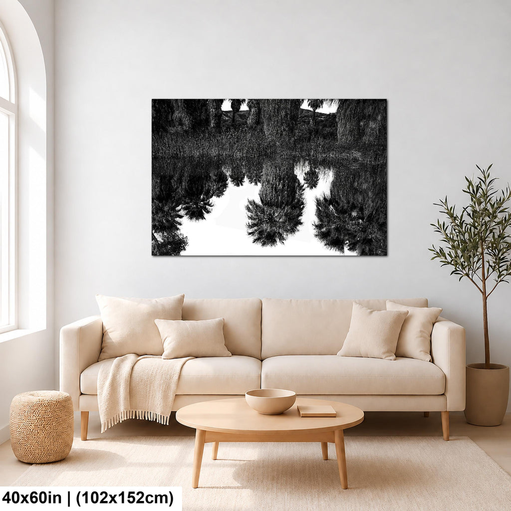 Palm Reflections: Coachella Valley Preserve CA Black White Photo Wall Art
