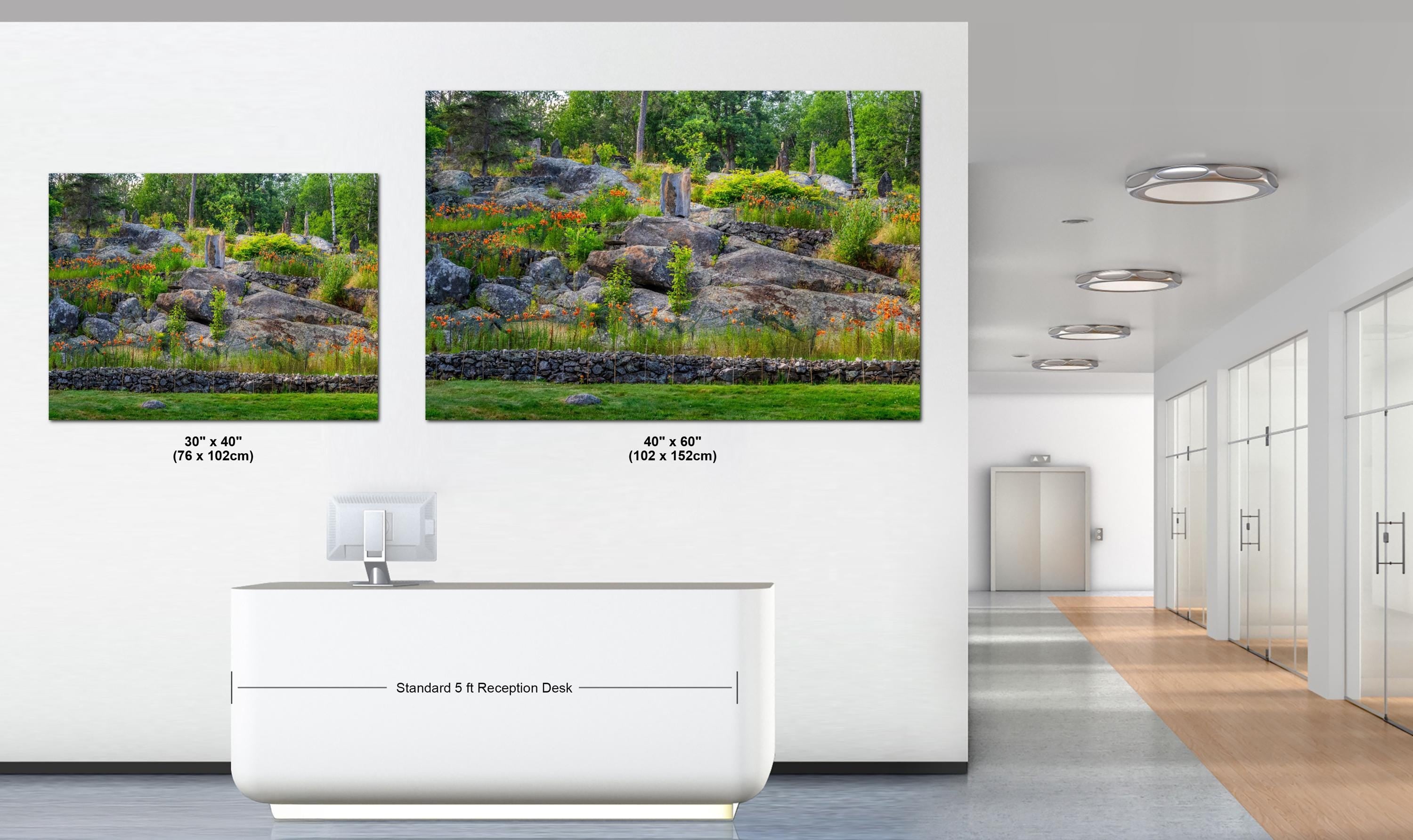 Two large wall art prints of nature scenes in a modern office setting.