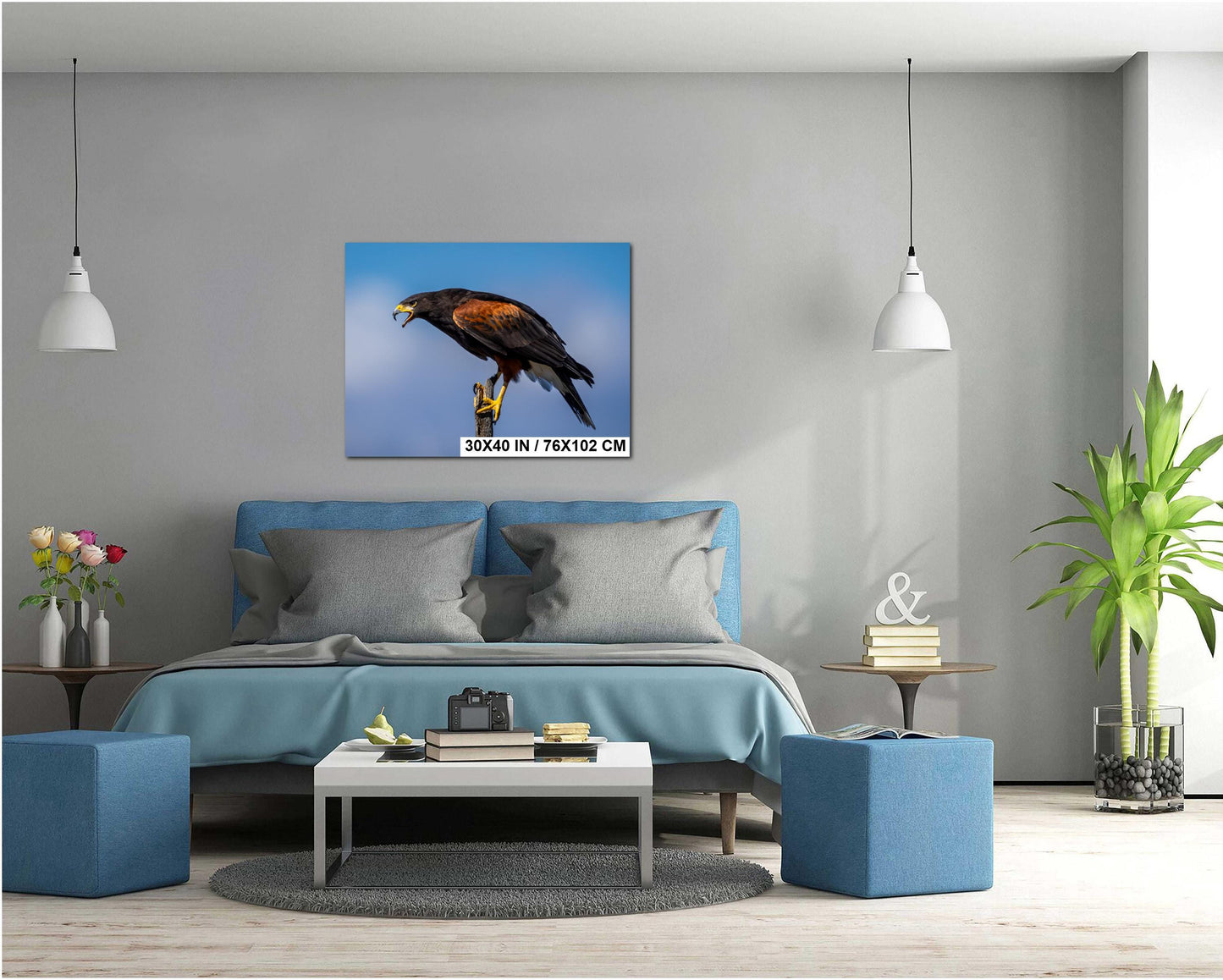 Harris's Hawk Desert Photography Print: Arizona Wildlife Art