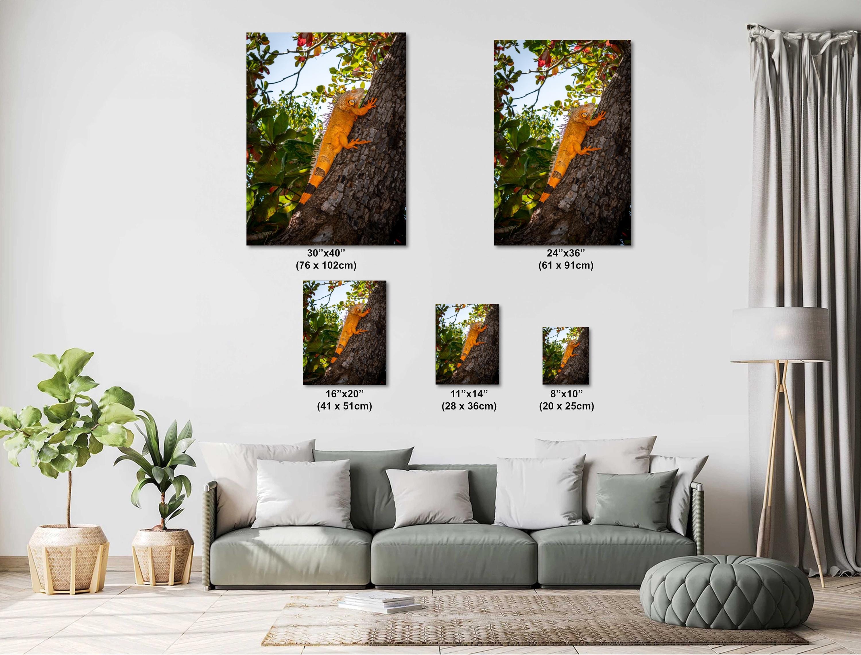 Key West Orange Iguana on Tree Trunk Photography Print, Florida Wildlife Photo, Tropical Nature Decor Reptile Wall Art Aluminum/Metal/Canvas