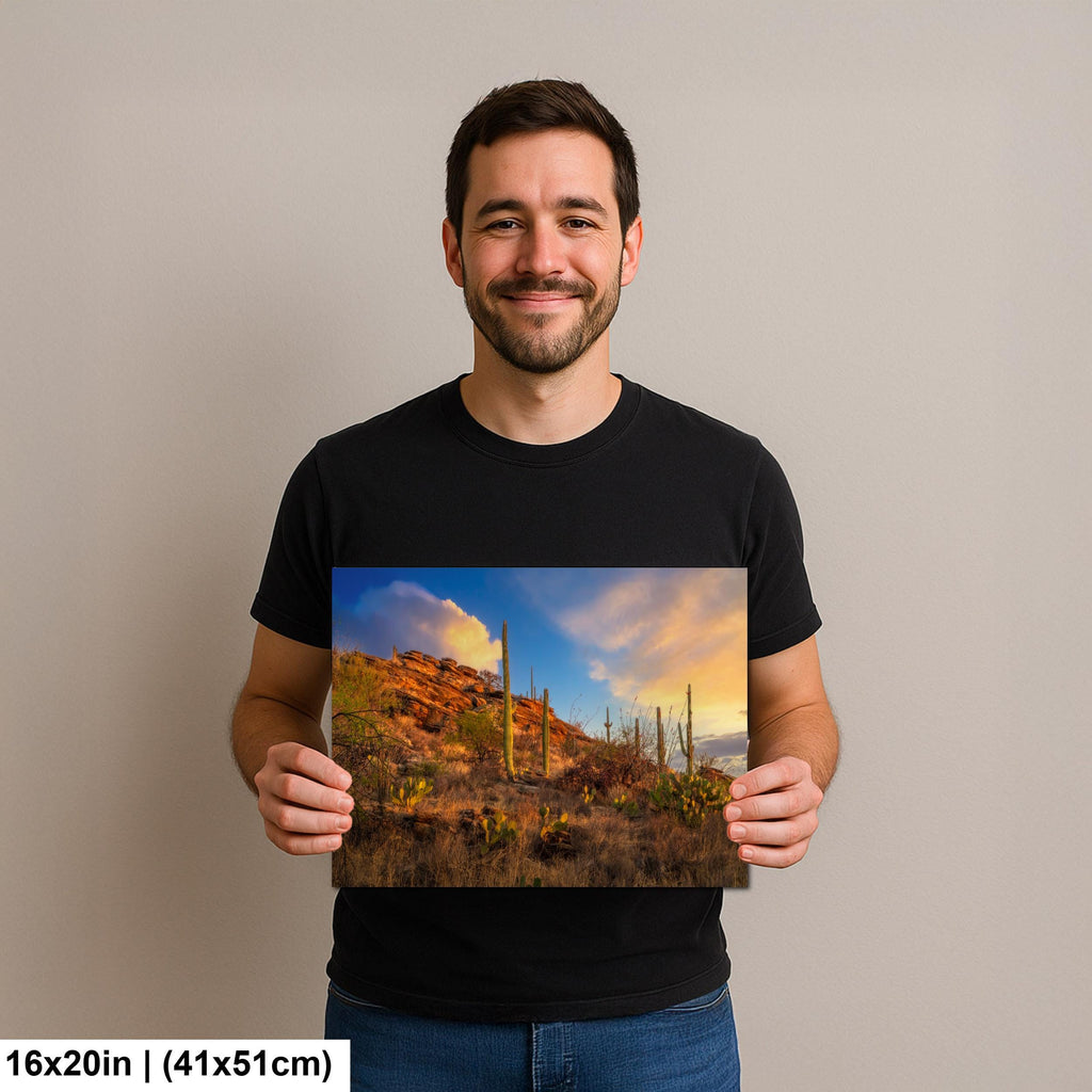 Sonoran Desert Sunset on Rocky Hillside - Saguaro National Park East Tucson Photography Print