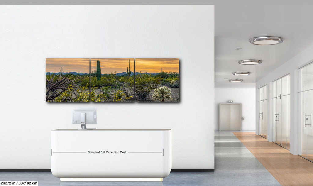 Spring Wildflowers and Saguaros at Dusk Tucson Arizona Photography Print