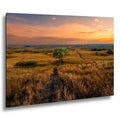 Golden Prairie Tree Badlands National Park South Dakota Photography Print, Western Landscape Wall Art, Sunset Home Decor