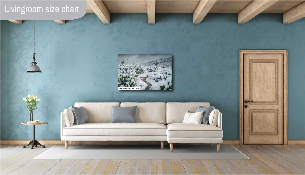 Snowy Saguaro Cactus Print: Tucson Arizona Winter Desert Photography