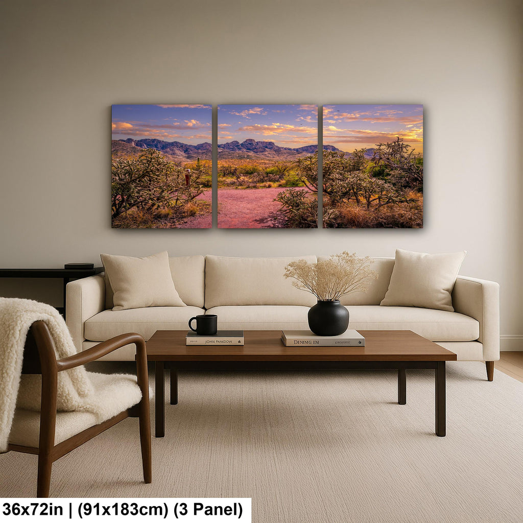 Sonoran Desert Trail Through Cholla Cactus - Tucson Arizona Mountain Sunset Photography Print