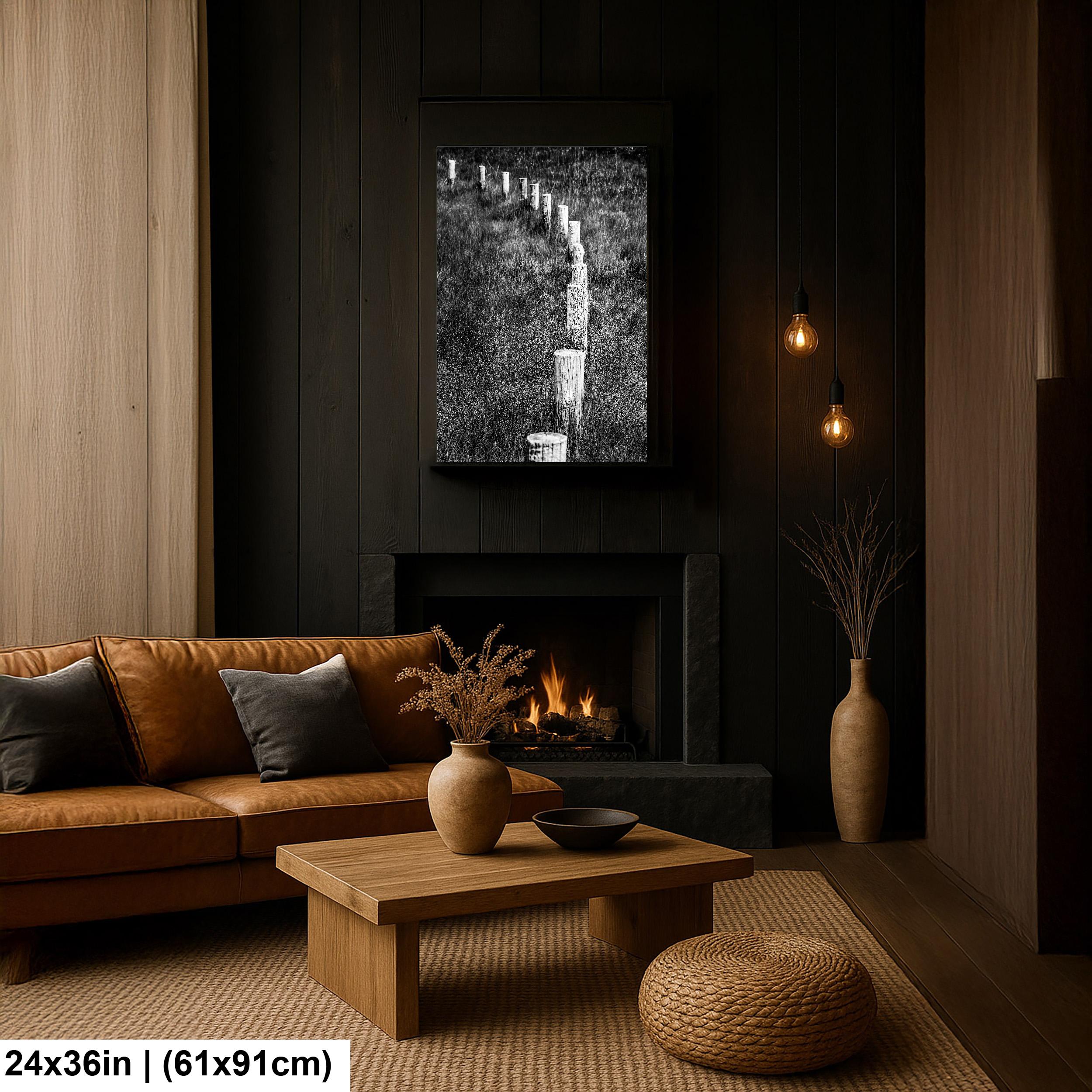 Monochrome Lines: Fence Posts Devils Tower Wyoming Black and White Wall Art