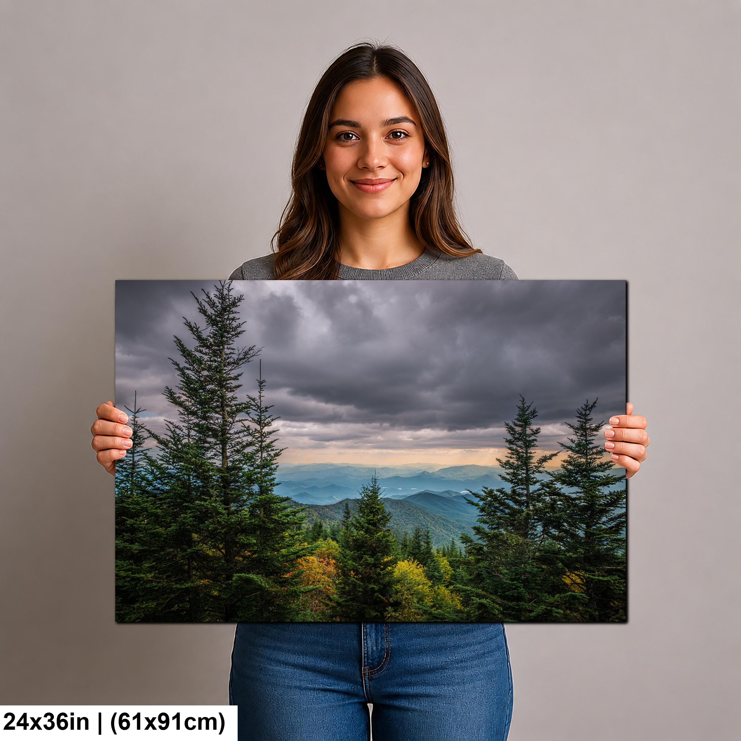 Through the Pines: Great Smoky Mountains National Park TN Photo Wall Art