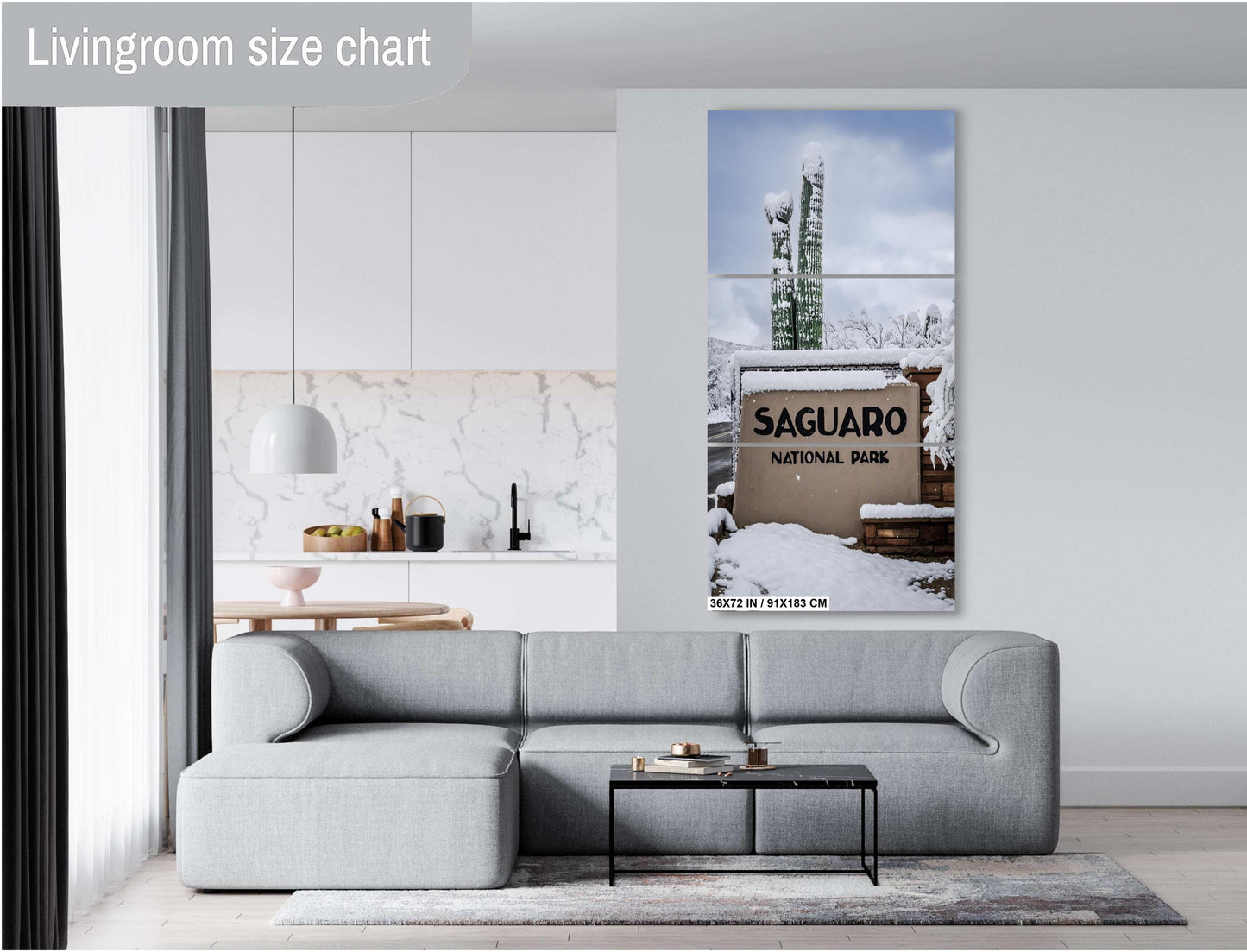 Saguaro National Park Wall Art – Snowy Desert Landscape | Tucson Arizona Decor