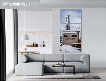 Saguaro National Park Wall Art – Snowy Desert Landscape | Tucson Arizona Decor