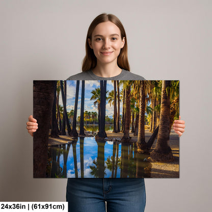 Agua Caliente Park Palm Tree Oasis Reflections - Tucson Arizona Photography Print