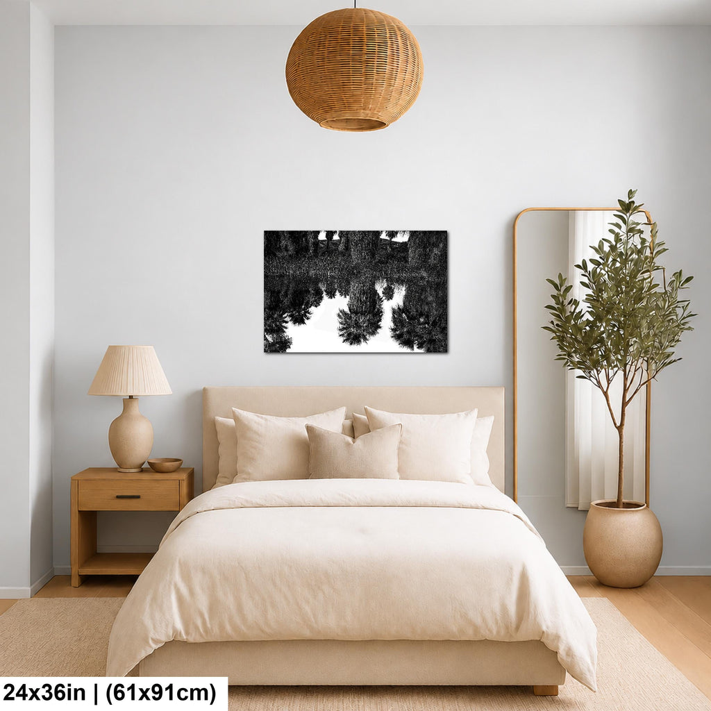 Palm Reflections: Coachella Valley Preserve CA Black White Photo Wall Art