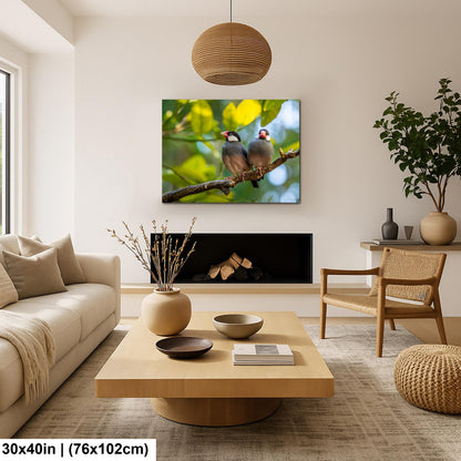 Pair of Java Sparrows on Branch, Wildlife Bird Lover Photography Wall Art