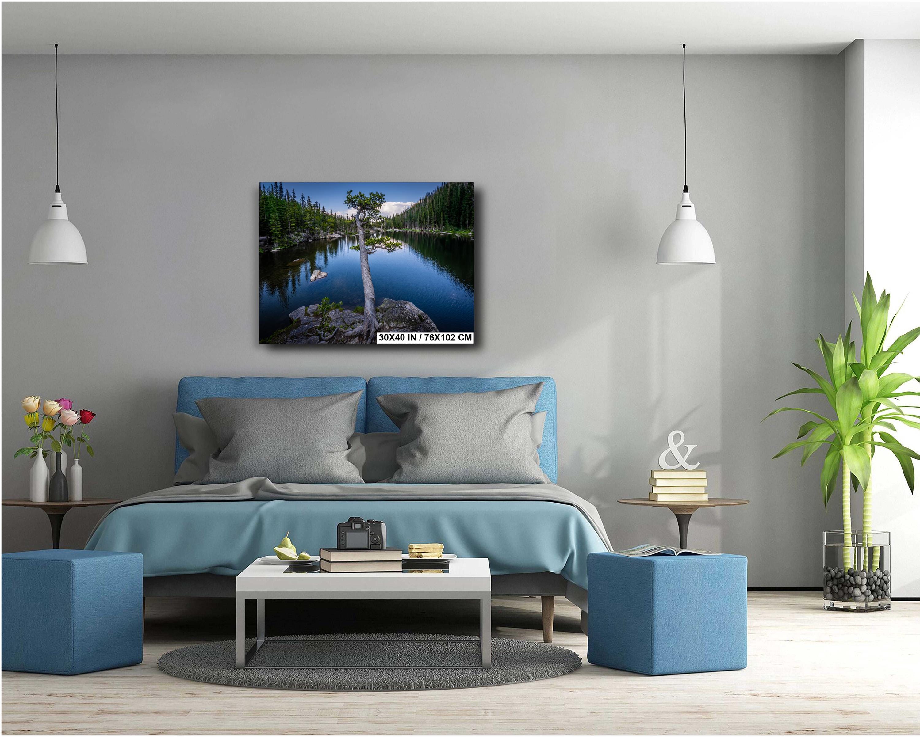 Dream Lake Twisted Tree Print: Rocky Mountain National Park Photography