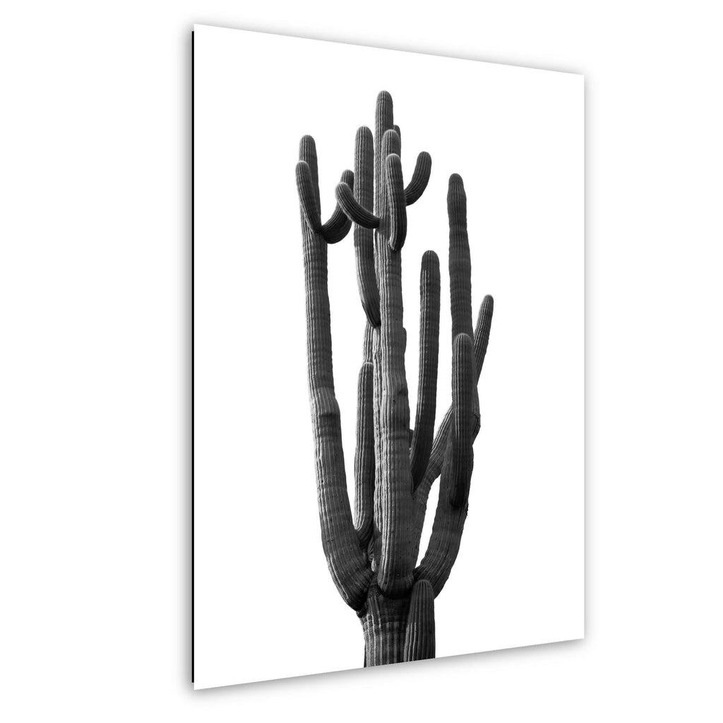 Black and white wall art print of a tall cactus with ribbed arms and sculptural form.